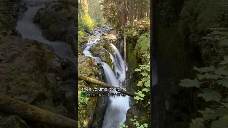 Best Hikes in Olympic National Park No. 10 #OlympicNationalPark #USNationalParks #hiking