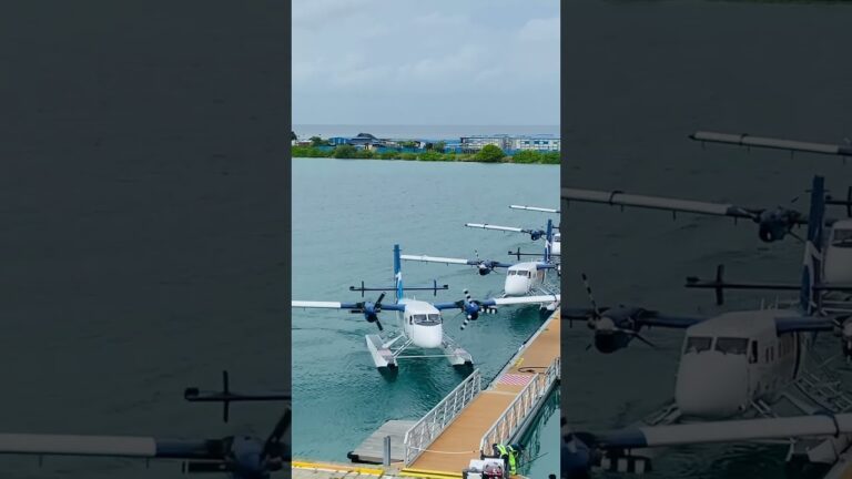 Seaplane Parking… Then THIS Happened! ✈️🌊 Maldives #kunjoozymedia #shorts