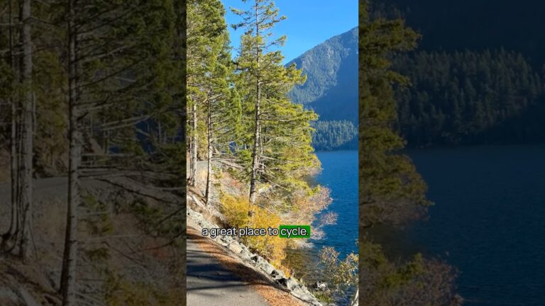 Best Thing To Do in Olympic National Park No. 3 #olympicnationalpark #usnationalparks #bucketlist